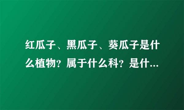 红瓜子、黑瓜子、葵瓜子是什么植物？属于什么科？是什么植物得产物？