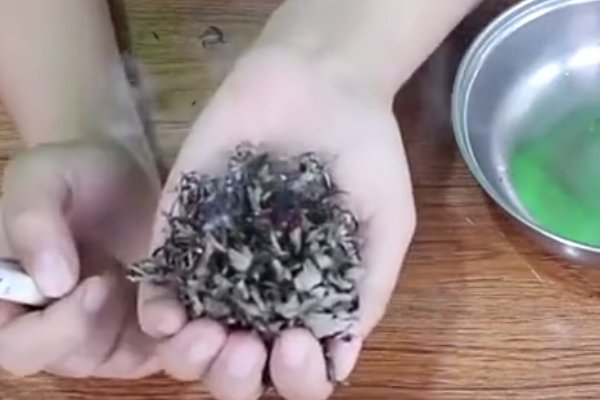 怎样用艾叶熏房间