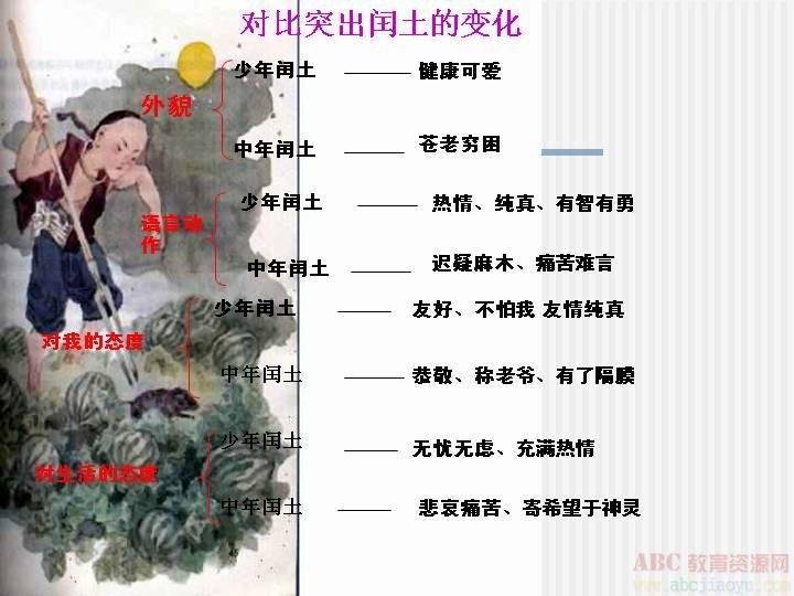 稀奇的词语解释