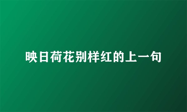 映日荷花别样红的上一句