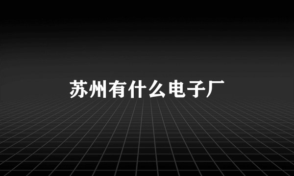 苏州有什么电子厂