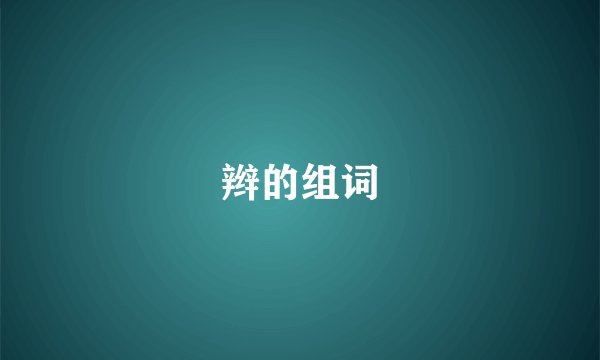 辫的组词
