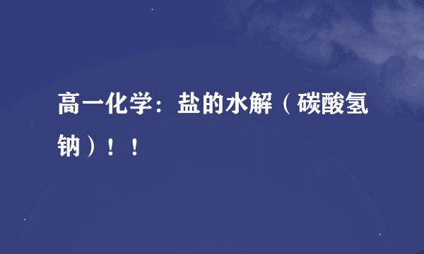高一化学：盐的水解（碳酸氢钠）！！