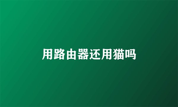 用路由器还用猫吗