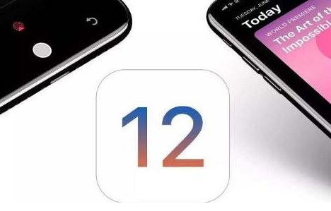 iphone6 plus16G能升级到ios12吗？