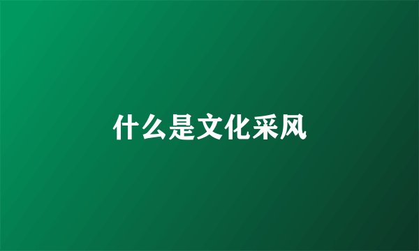 什么是文化采风