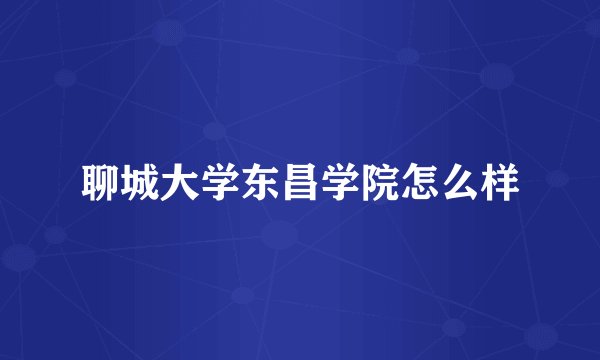 聊城大学东昌学院怎么样