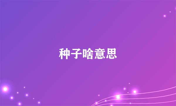 种子啥意思