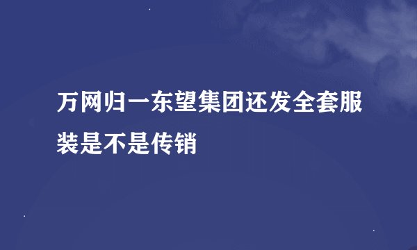 万网归一东望集团还发全套服装是不是传销