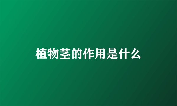 植物茎的作用是什么