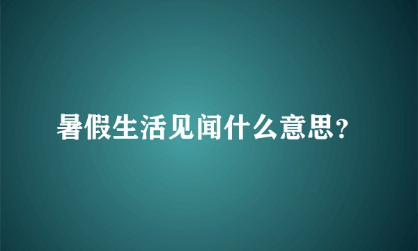 暑假生活见闻什么意思？