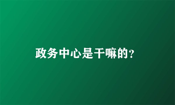 政务中心是干嘛的？