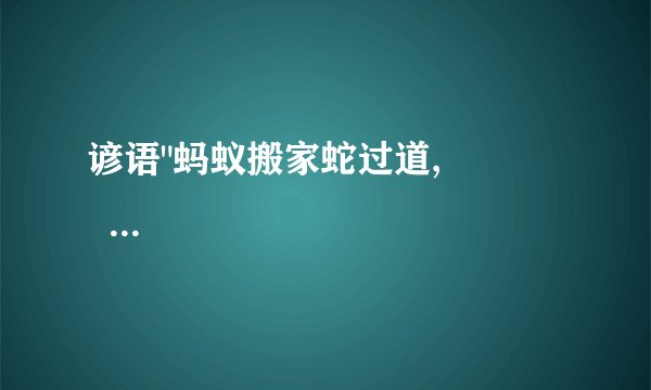 谚语