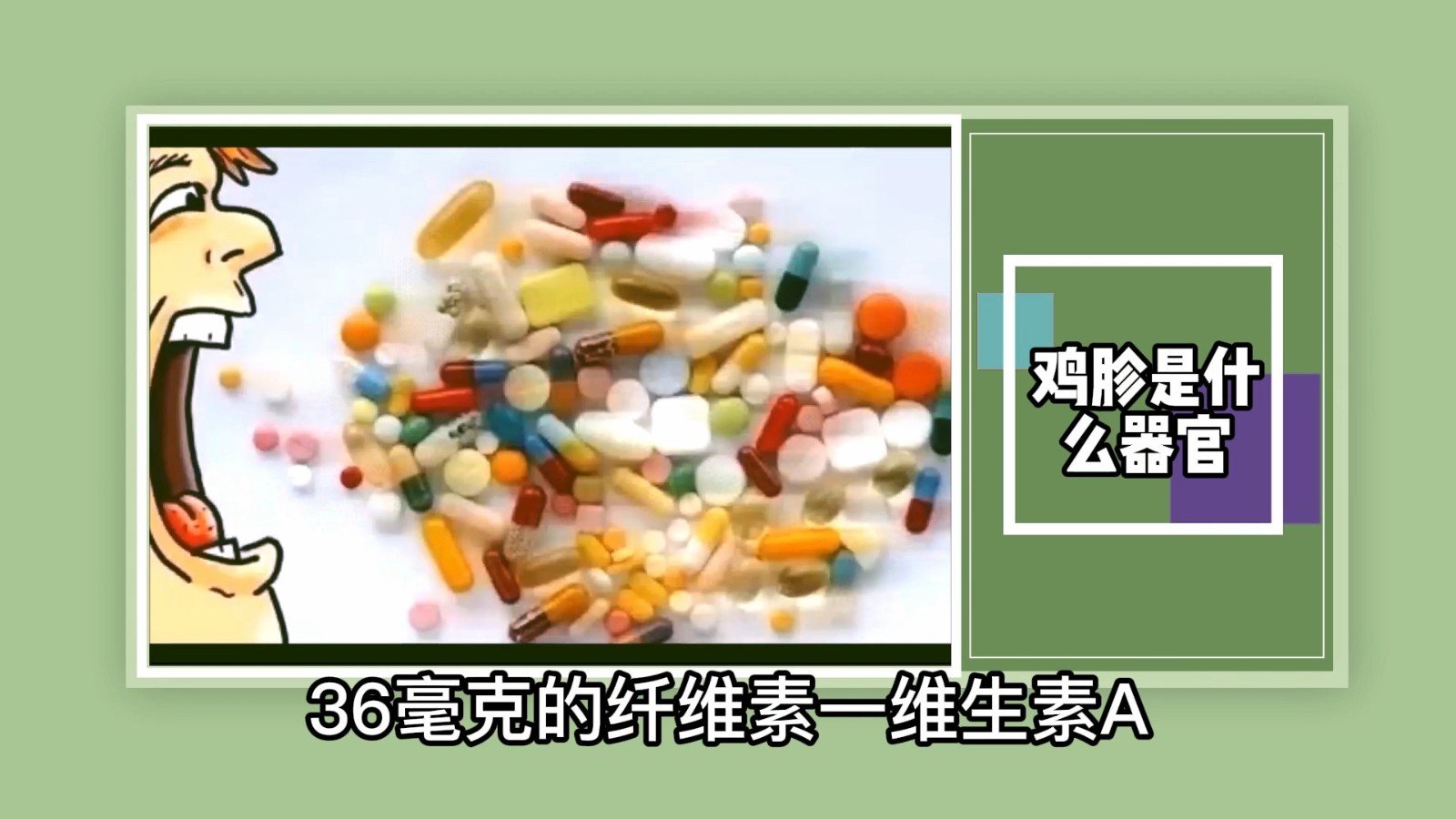 鸡胗是什么器官?