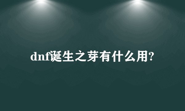 dnf诞生之芽有什么用?