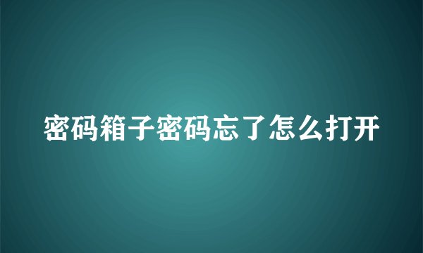 密码箱子密码忘了怎么打开