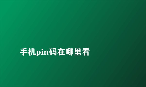 
手机pin码在哪里看


