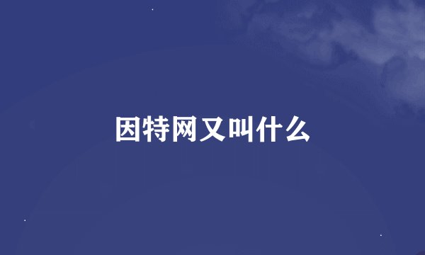 因特网又叫什么