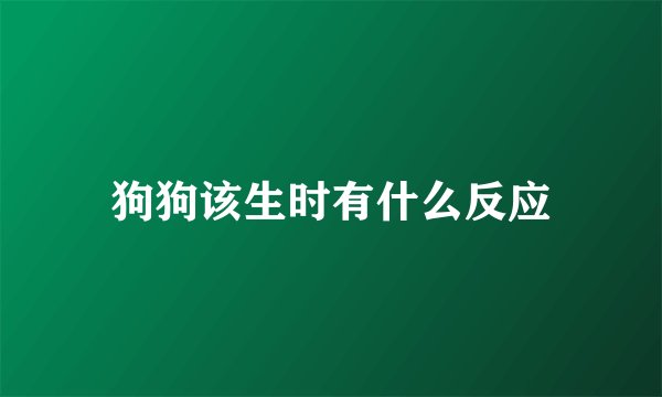 狗狗该生时有什么反应