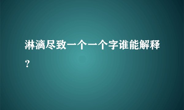 淋漓尽致一个一个字谁能解释？