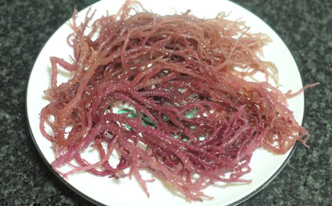 怎么做凉拌海石花 凉拌海石花的做法