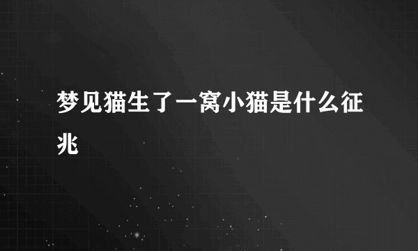 梦见猫生了一窝小猫是什么征兆