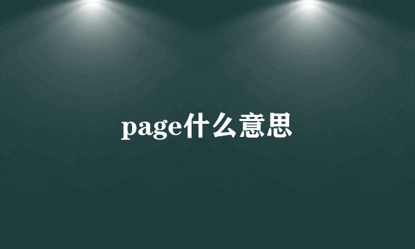 page什么意思