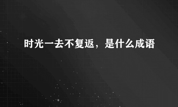 时光一去不复返，是什么成语