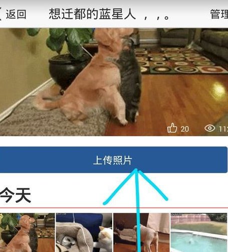 QQ空间怎样上传GIF图片