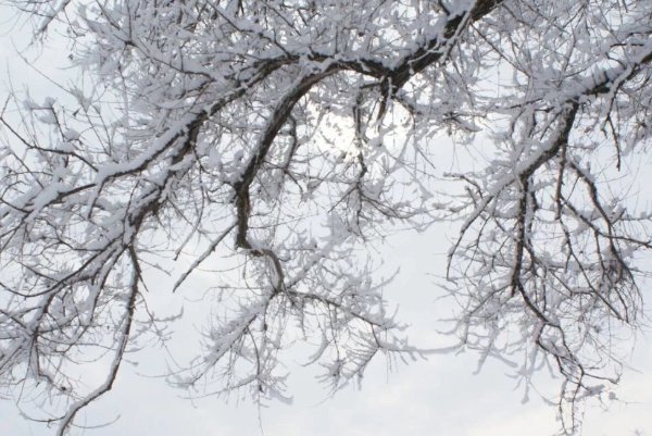 “阳春白雪”“下里巴人”指文艺作品，这两个成语最初指的是什么？