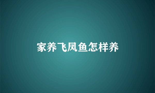 家养飞凤鱼怎样养