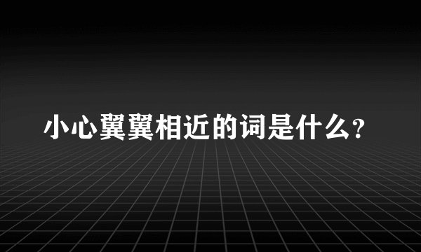 小心翼翼相近的词是什么？