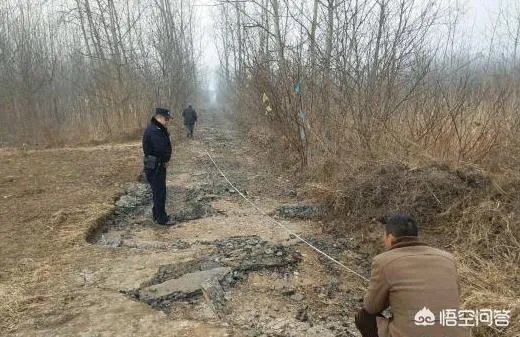 小偷盗走水泥公路,大家怎么看?