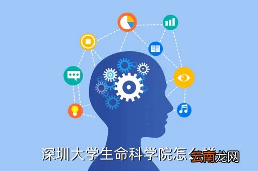 邢苗，姓祁女孩2014年12月8号出生叫什么名字( 二 )