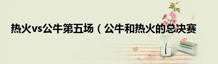 热火vs公牛第五场(公牛和热火的总决赛