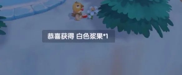 摩尔庄园白色浆果在哪