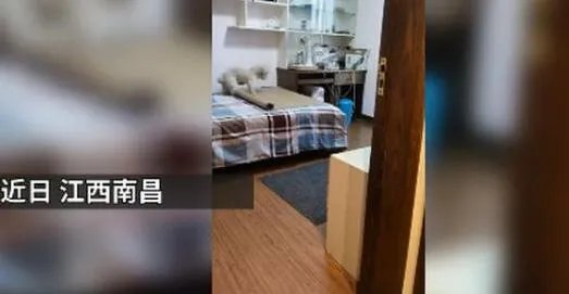 狗狗铺凉席关灯睡觉 详情画面曝光简直是成精了!