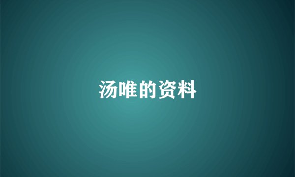 汤唯的资料