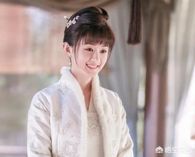 如何评价《知否知否,应是绿肥红瘦》这部剧?
