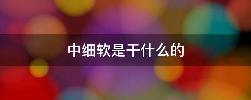中细软是干什么的
