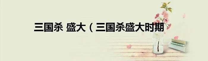三国杀 盛大(三国杀盛大时期