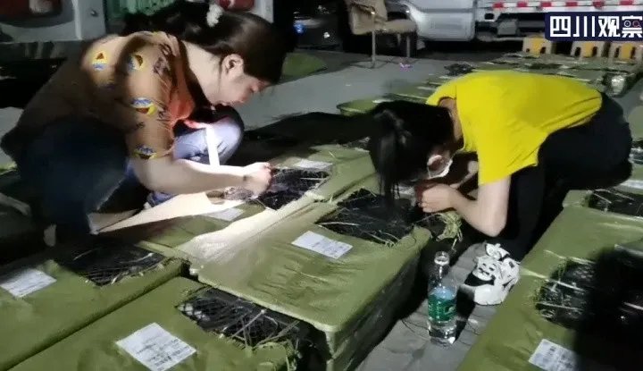 中通快递通报“宠物盲盒”事件，涉事快递公司将面临什么惩罚？