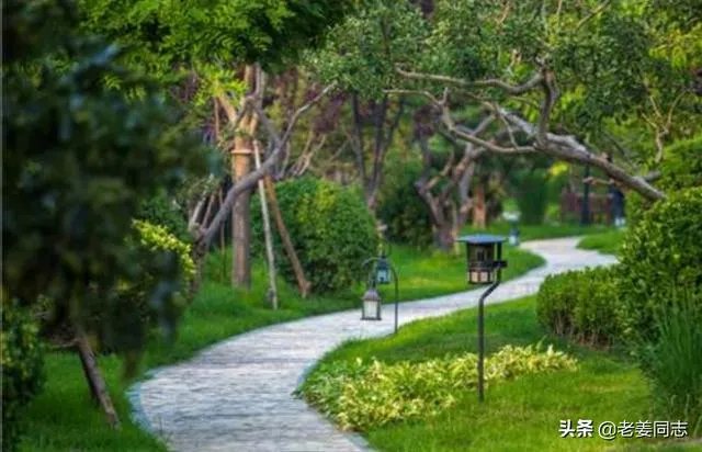 坐标青岛,首付100万内,靠地铁口,环境绿化好一点,主要考虑市南市北李沧,新房二手房都可,有推荐的吗?