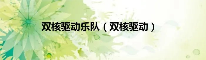 双核驱动乐队（双核驱动）
