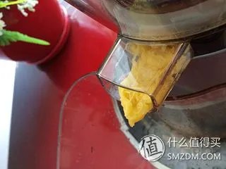 中了电视购物的毒!HUROM 韩国惠人 HU-500DG 原汁机