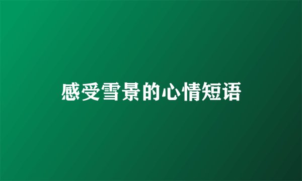 感受雪景的心情短语