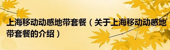 上海移动动感地带套餐（关于上海移动动感地带套餐的介绍）