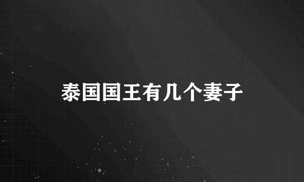 泰国国王有几个妻子