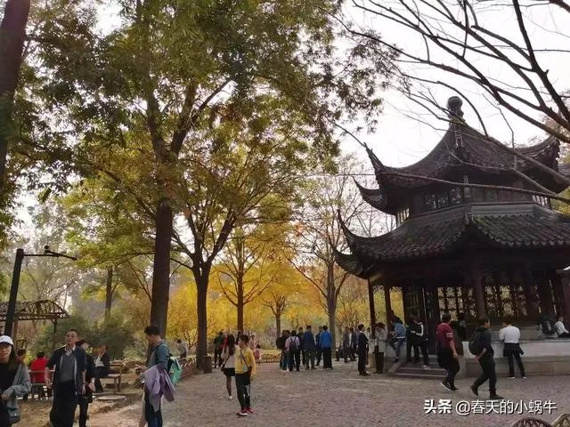 带着梦想去旅游,你想和谁一起?