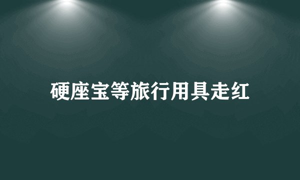 硬座宝等旅行用具走红